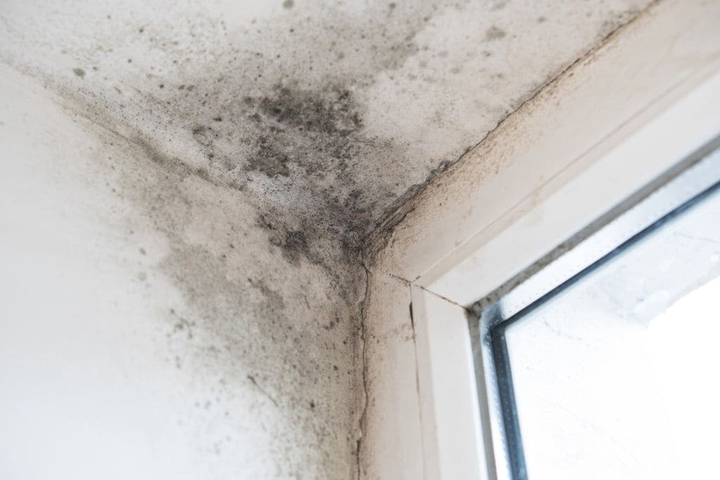 Photograph showing salt staining at skirting