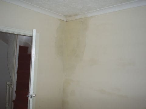 Photograph showing damp patches on walls