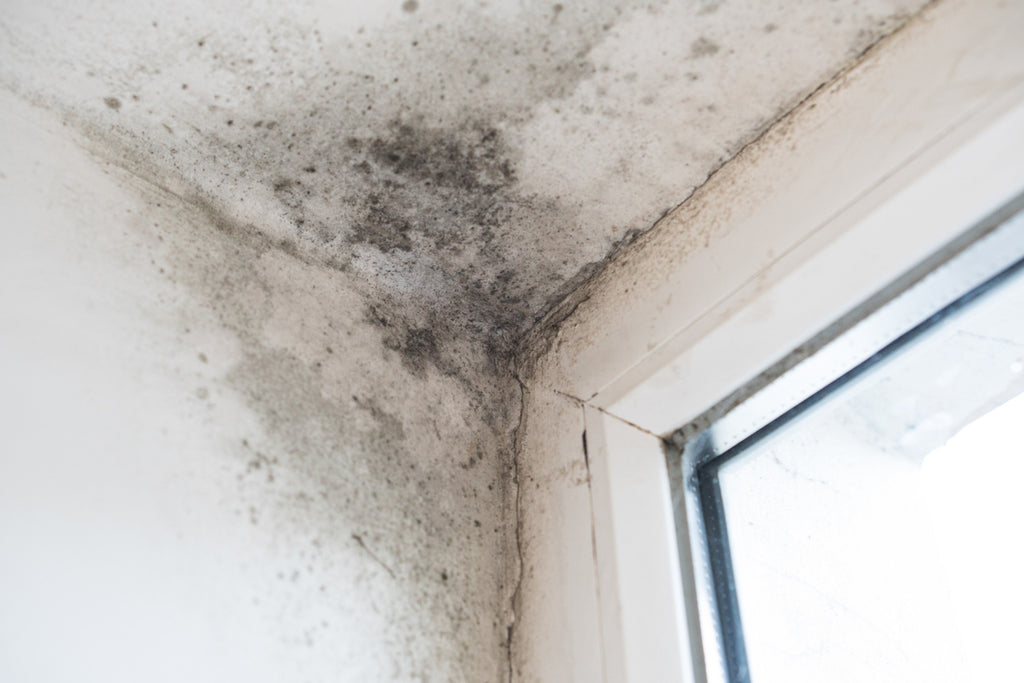 Condensation & Mould — completed work in an Oxfordshire property