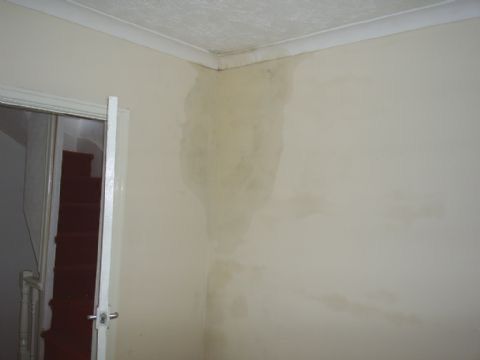 Penetrating Damp — completed work in an Oxfordshire property